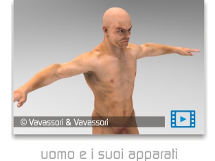 video uomo e i suoi apparati